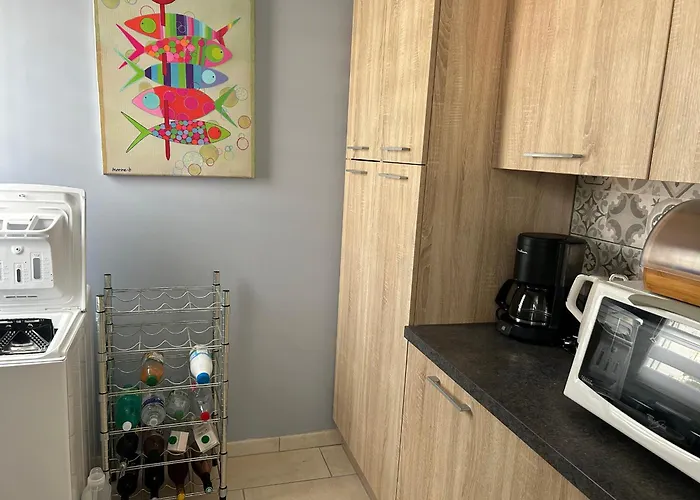 Maison Soignee Proche Et Centre-ville, Avec Jardin Cloture Et Wifi - Fr-1-22-332 *